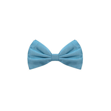 Dolce & Gabbana Blue Silk Ties & Bowty